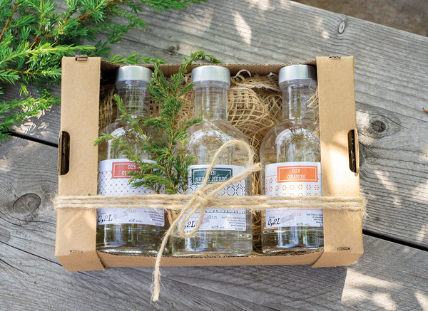 Trio Gin