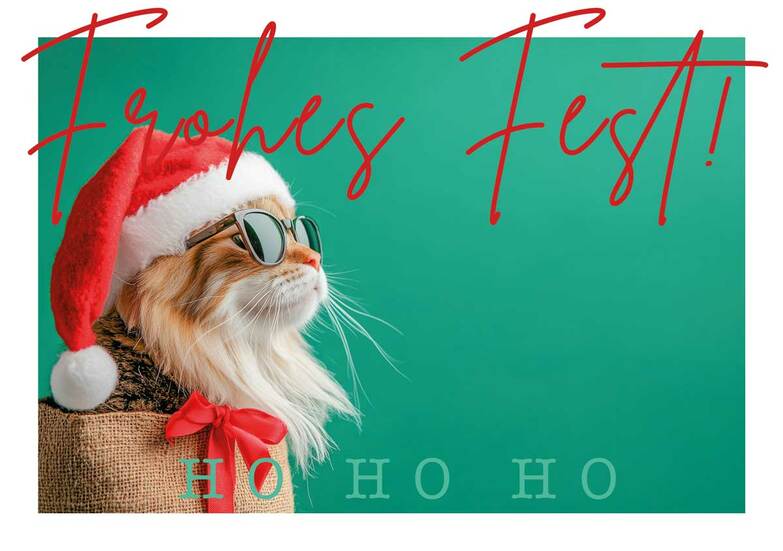 Weihnachtskarte: Katze aus dem Sack