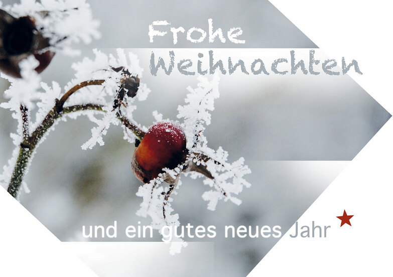 Weihnachtskarte: Frostige Hagebutte