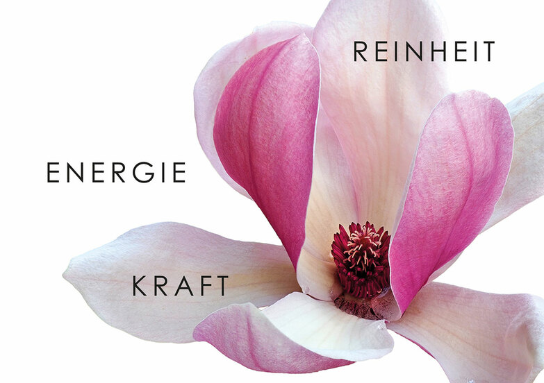 Grußkarte: Magnolie