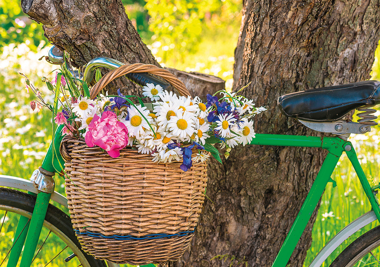 Grußkarte: Fahrradkorb mit Margariten