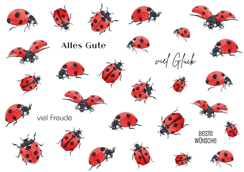 Grußkarte: Käferkrabbeln